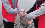红色志愿者在行为
