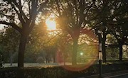 当“美拉德”的风吹进广厦大学......
